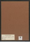 Biddulphia regina W. Sm. (de-Toni-Nr.: Genus 123, Species 3467) Zeichnungen Sammlung Grunow Mappe 03671 (Herbarium_W_Grunow_drawings_Folder_03671)